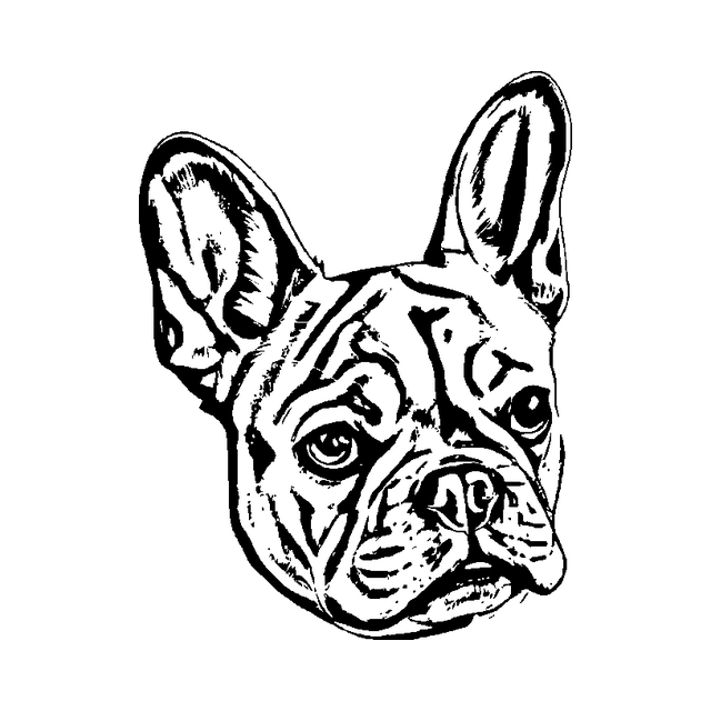La misma mascota grabada con el estilo CLAW & WAG
