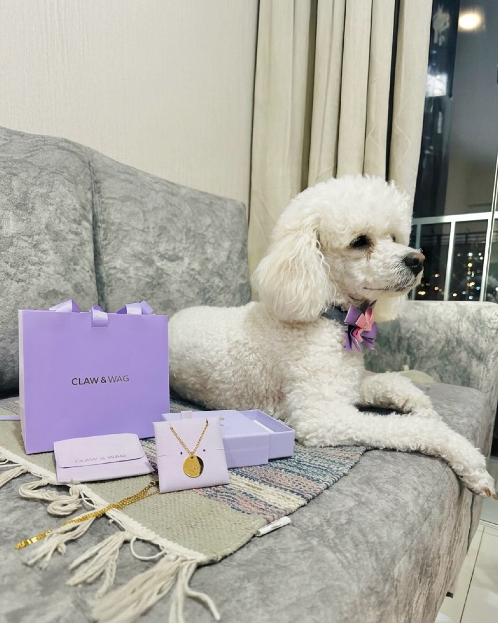Mascota de un cliente con su caja de CLAW & WAG