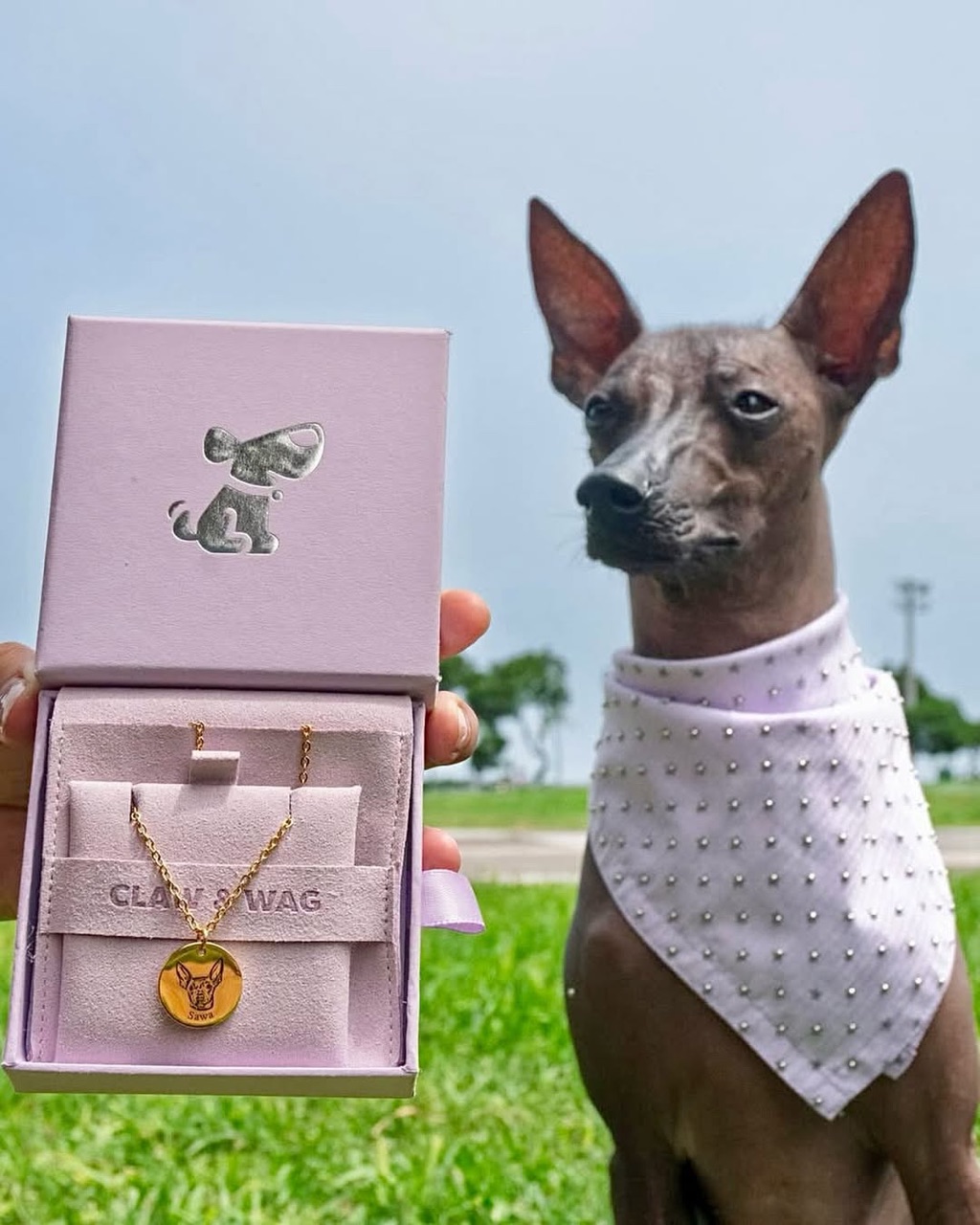 Mascota de un cliente con su caja de CLAW & WAG