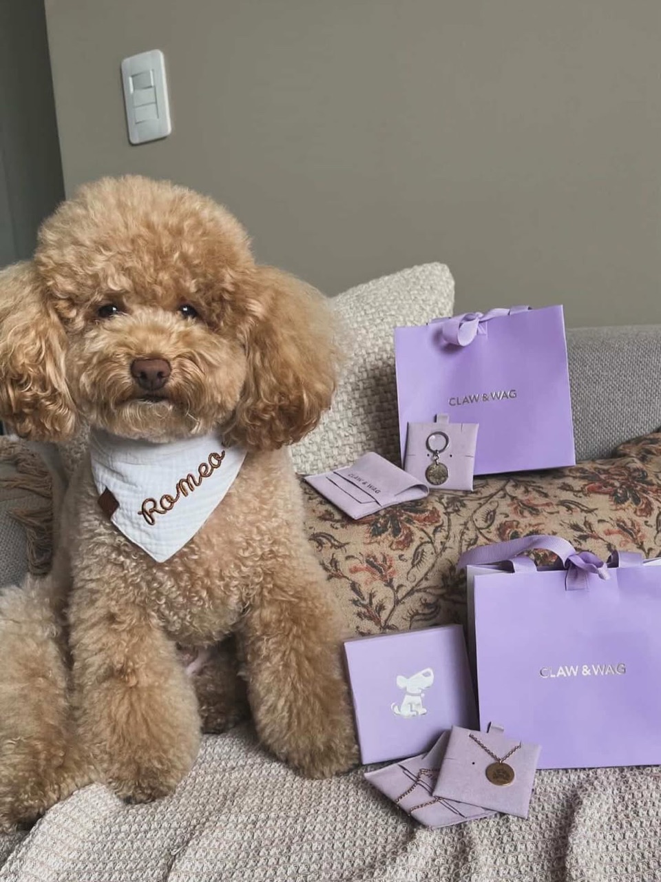 Mascota de un cliente con su caja de CLAW & WAG