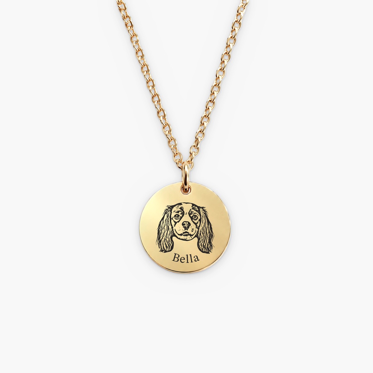 Collar Pet Face