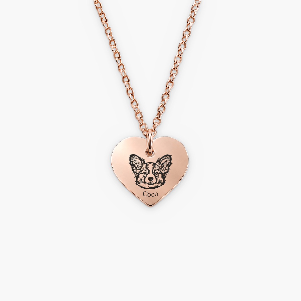 Collar Pet Face Love